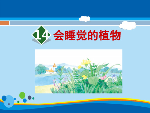 《会睡觉的植物》PPT【精选推荐课件】