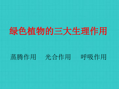 绿色植物的三大作用专题复习