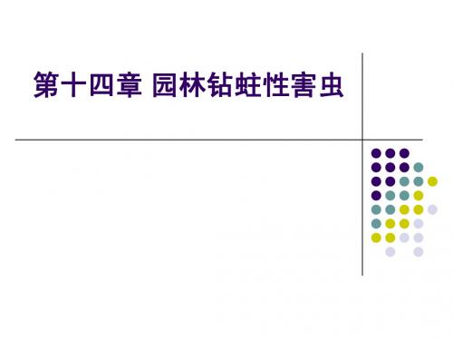 园林病虫害防治(钻蛀性害虫)