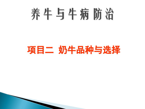 养牛与牛病防治-1.3奶牛体型测量