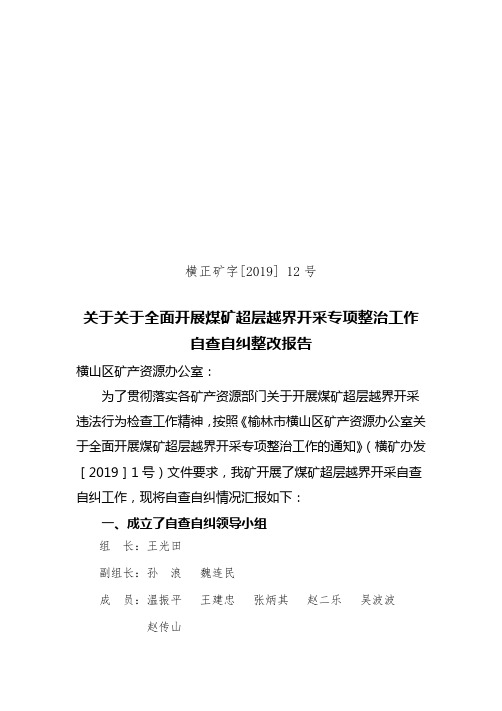 [2019]12关于全面开展煤矿超层越界开采专项整治工作整改报告