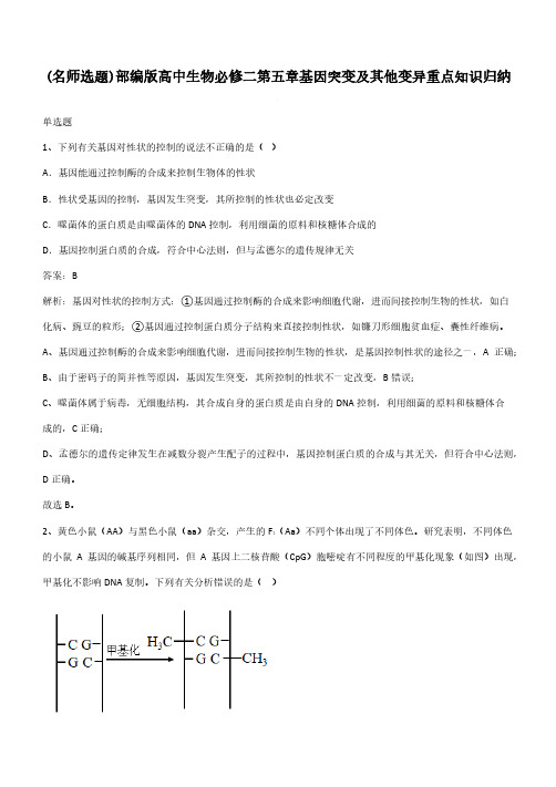 部编版高中生物必修二第五章基因突变及其他变异重点知识归纳