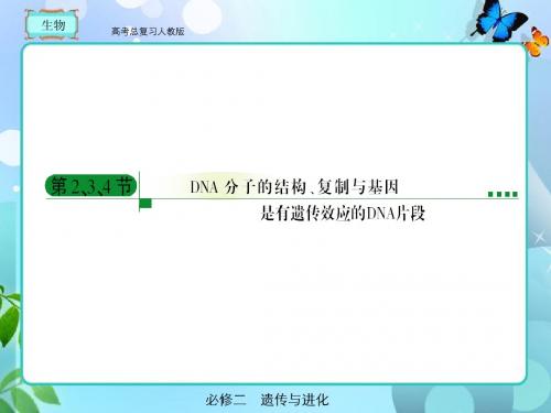 高考总复习 生物必修二3-2、3、4