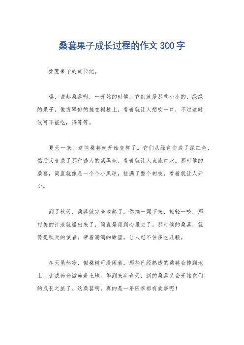 桑葚果子成长过程的作文300字