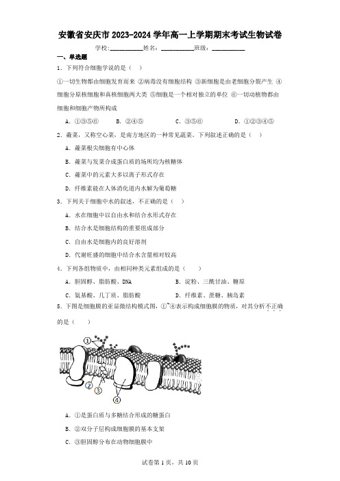 安徽省安庆市2023-2024学年高一上学期期末考试生物试卷(含解析)