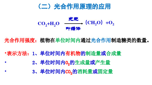 5.4.3光合作用与能量转化影响因素课件高一上学期生物人教版必修(1)