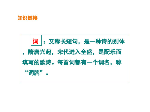 金戈铁马辛弃疾——辛弃疾《破阵子》《太常引》《南乡子》群诗阅读教学