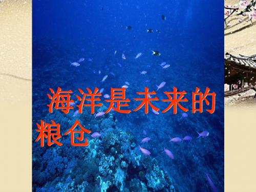 语文版初中语文八上《19海洋是未来的粮仓》PPT课件 (4)