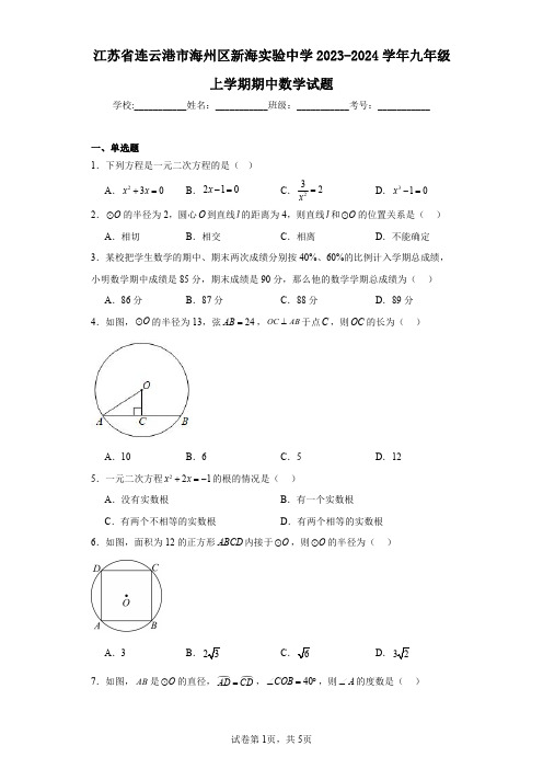 江苏省连云港市海州区新海实验中学2023-2024学年九年级上学期期中数学试题