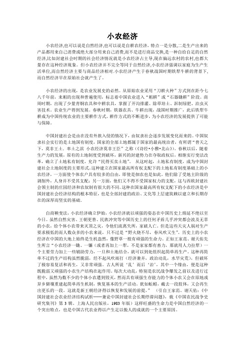 小农经济