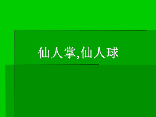 幼儿园中班美术活动：《仙人掌,仙人球》课件