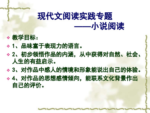 湘教版六年级下册语文--现代文阅读实践专题——小说阅读.ppt