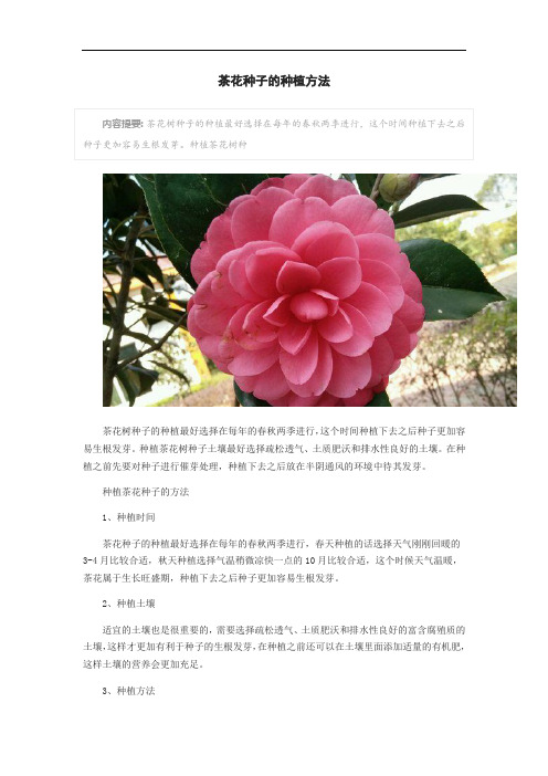 茶花种子的种植方法