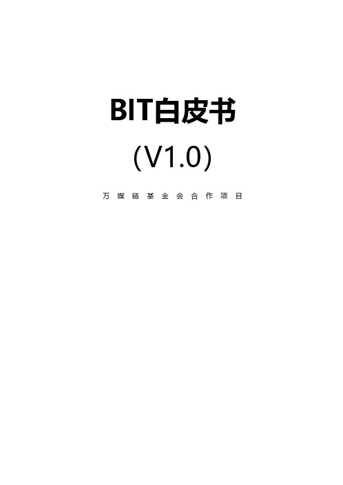 BIT白皮书