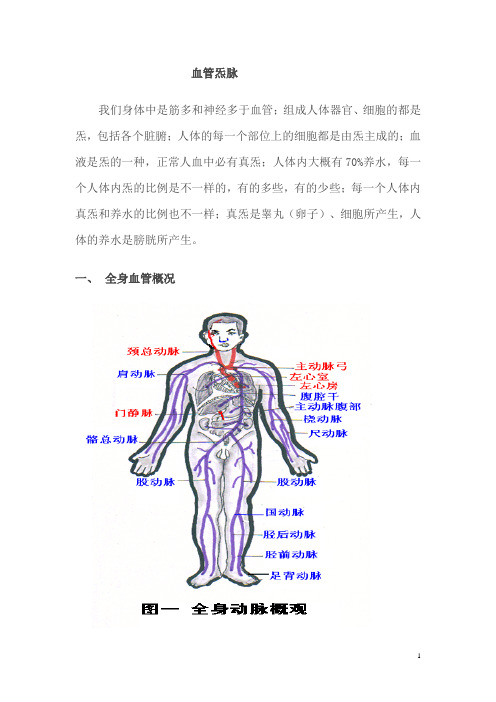 5.血管炁脉