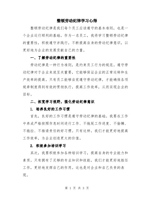 整顿劳动纪律学习心得