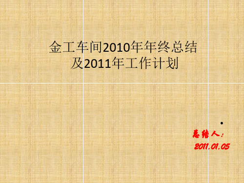 2010总结与2011计划