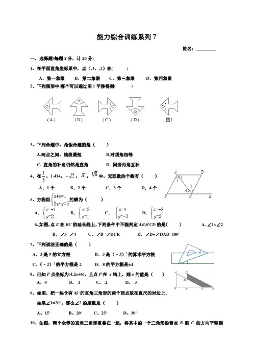七年级数学下册能力训练 (2)