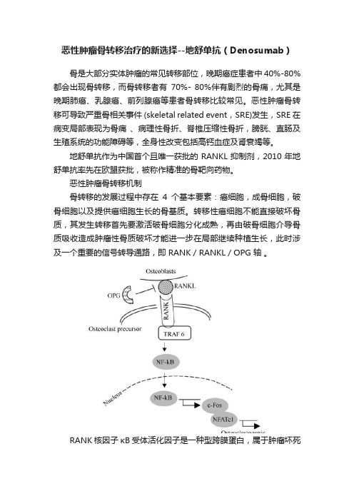 恶性肿瘤骨转移治疗的新选择--地舒单抗（Denosumab）