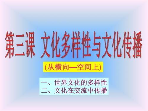 文化多样性与文化传播PPT课件4 人教课标版