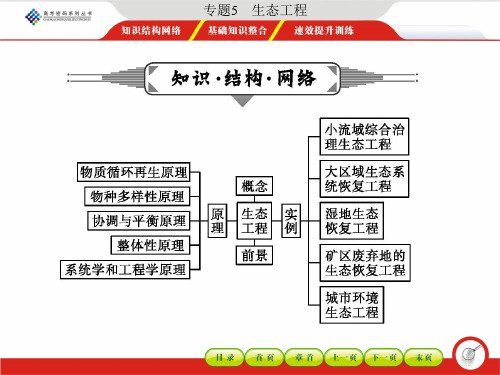 2019年最新-专题5 生态工程 (33张PPT)-精选文档