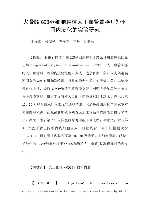 犬骨髓CD34细胞种植人工血管置换后短时间内皮化的实验研究