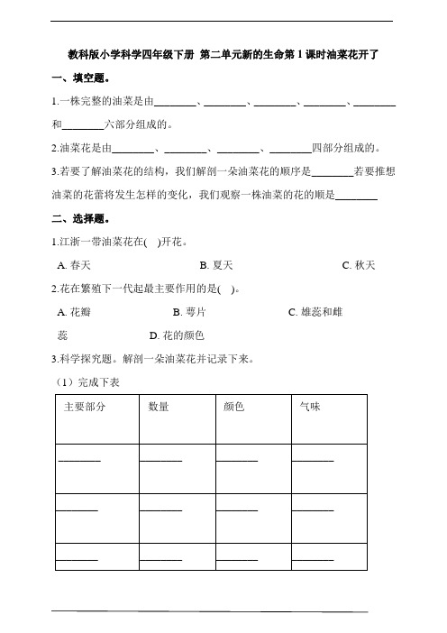 教科版小学科学四年级下册 第二单元新的生命第1课时油菜花开了  同步练习(含答案解析)