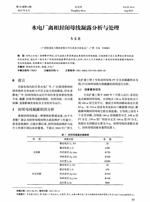 水电厂离相封闭母线凝露分析与处理