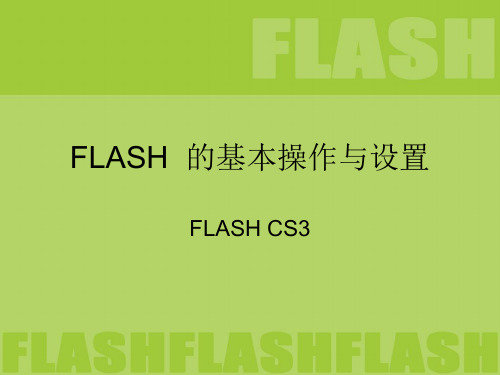 FLASH基本操作与设置