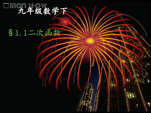 《二次函数概念》 ppt课件