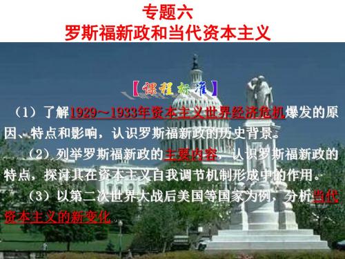 人民版高中历史必修二专题二《罗斯福新政与当代资本主义》课件 (共23张PPT)