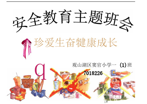生命安全教育主题班会珍爱生命健康成长ppt