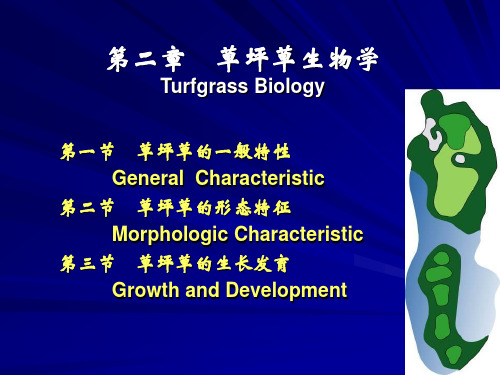 第二部分 草坪草生物学