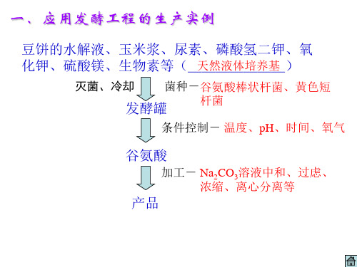 高三生物发酵工程简介(PPT)5-4