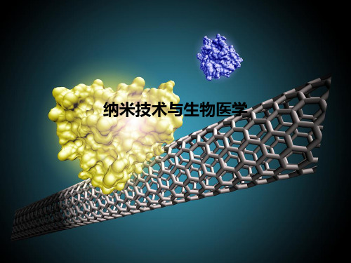 纳米技术与生物医学PPT课件