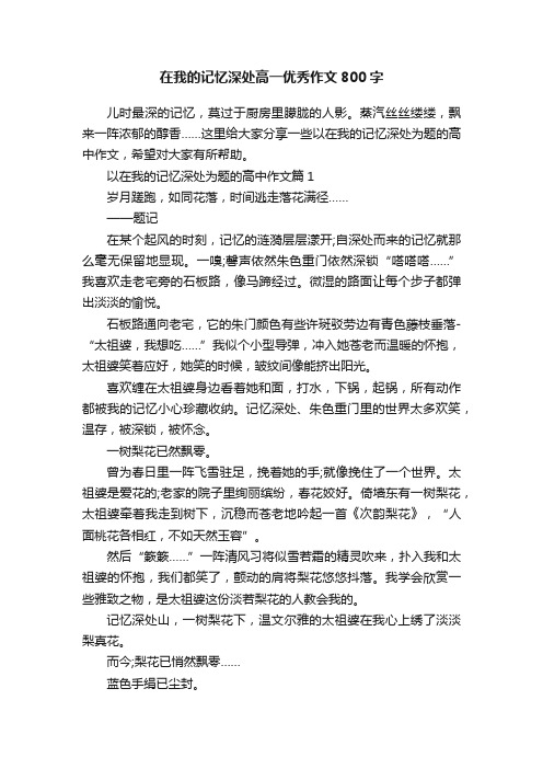 在我的记忆深处高一优秀作文800字