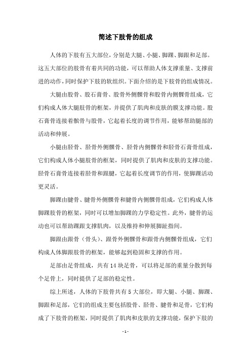 简述下肢骨的组成