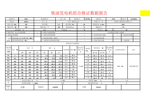 柴油发电机组检测报告样本 