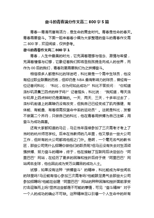 奋斗的青春满分作文高二800字5篇