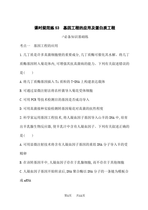 人教版高考生物学一轮总复习课后习题 第10单元 生物技术与工程 基因工程的应用及蛋白质工程