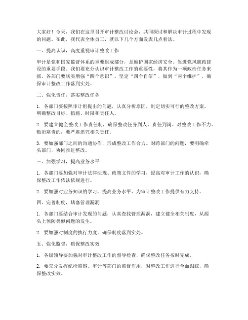 审计整改讨论会发言稿范文