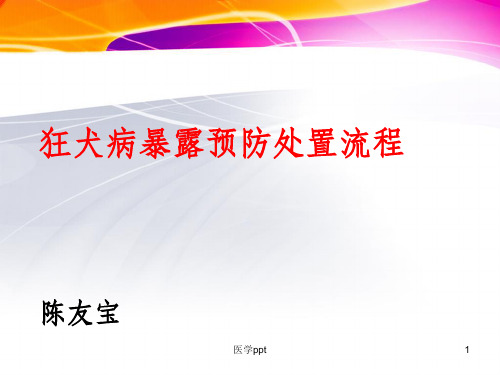 狂犬病暴露预防处置流程