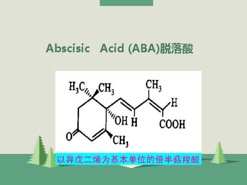 脱落酸(ABA)博士剖析