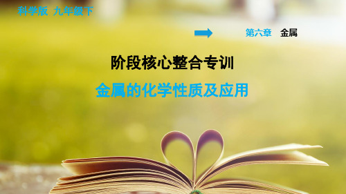 科学版化学九年级下册第六章《金属》阶段核心整合专训 金属的化学性质及应用