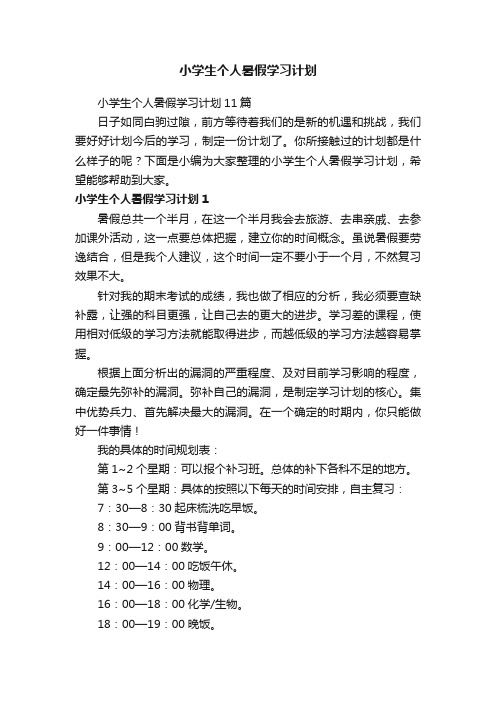 小学生个人暑假学习计划11篇