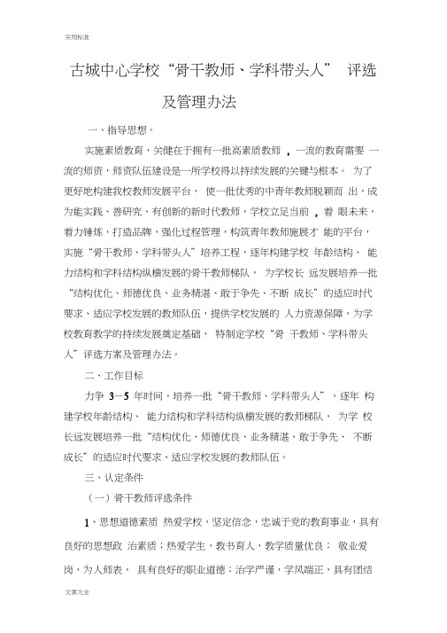 骨干教师队伍建设方案设计