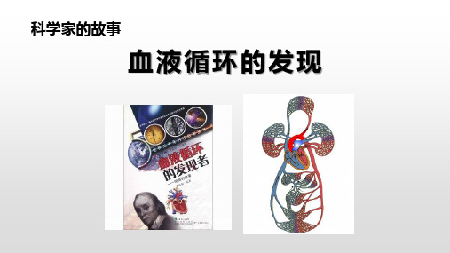 人教版七年级下册生物：科学家的故事 血液循环的发现