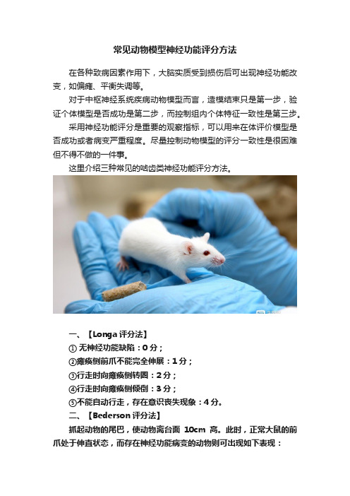 常见动物模型神经功能评分方法