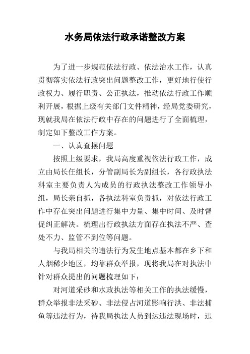 水务局依法行政承诺整改方案