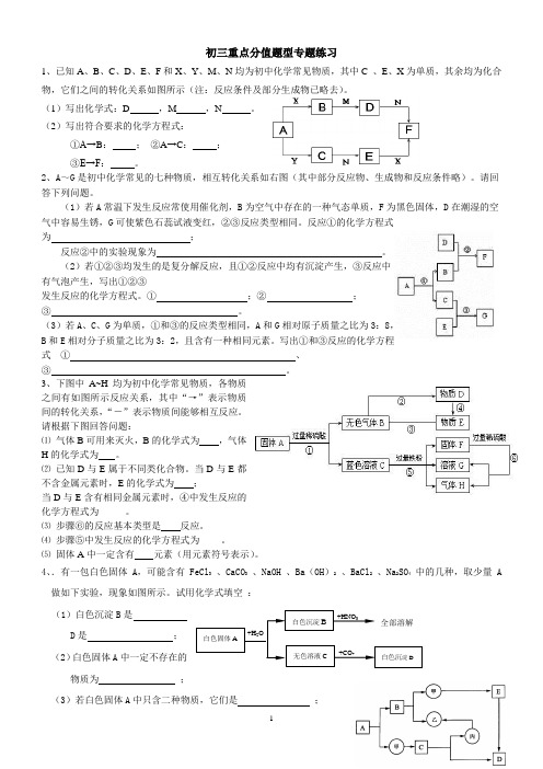 初三化学重点分值题型专题、含部分答案 文档